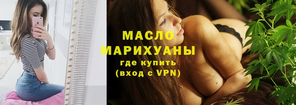 индика Горнозаводск