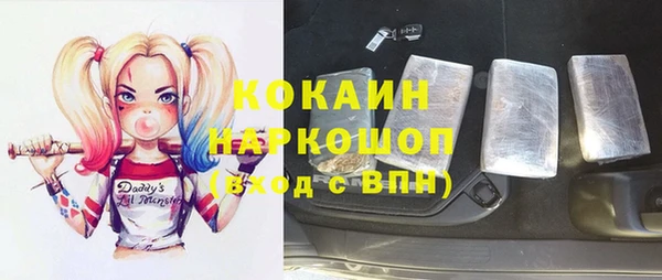 индика Горнозаводск