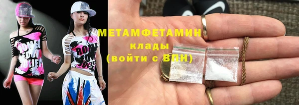 индика Горнозаводск