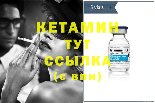 стаф Горняк