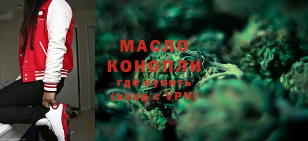 индика Горнозаводск