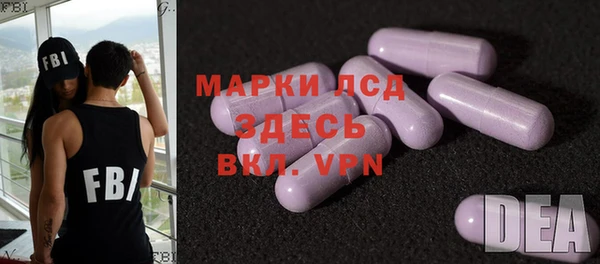 индика Горнозаводск
