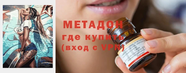 индика Горнозаводск