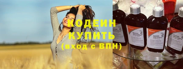индика Горнозаводск