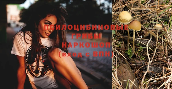 стаф Горняк