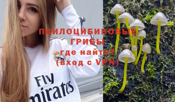 стаф Горняк