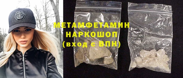 индика Горнозаводск