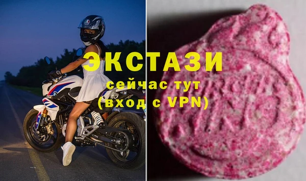 стаф Горняк