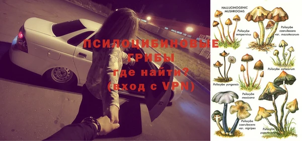 индика Горнозаводск