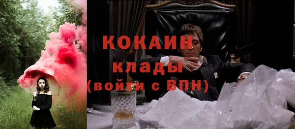 стаф Горняк