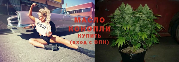 стаф Горняк