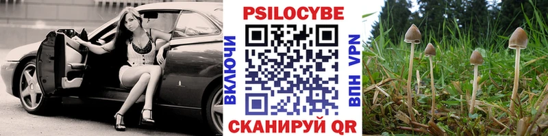 Галлюциногенные грибы Cubensis Елизаветинская