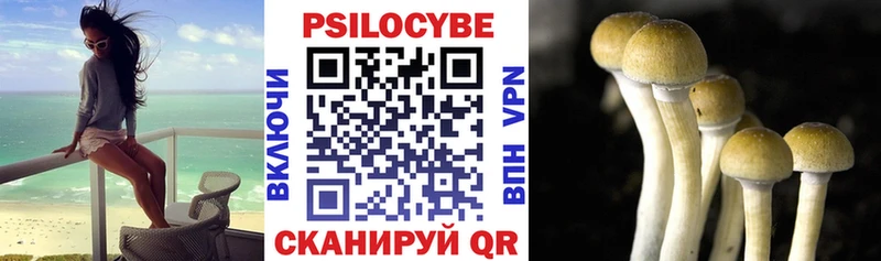 Псилоцибиновые грибы ЛСД  hydra онион  Елизаветинская  наркотики 